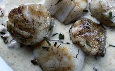 Pan Seared Scallops with Bacon Cream Sauce