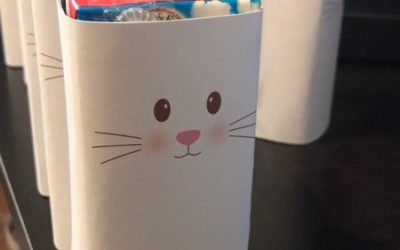 Bunny Juice Boxes
