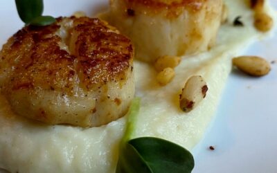 Seared Scallops Over Parsnip Purée