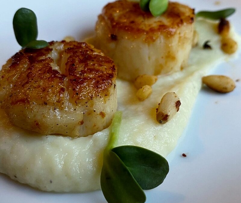 Seared Scallops Over Parsnip Purée