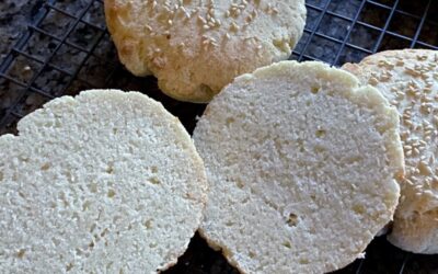 Hamburger Buns